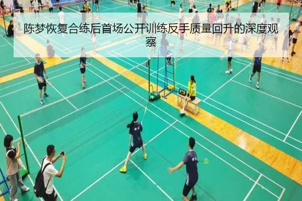 陈梦恢复合练后首场公开训练反手质量回升的深度观察